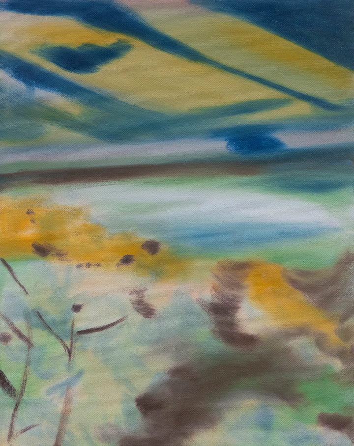 Fields by Laura Gaiger