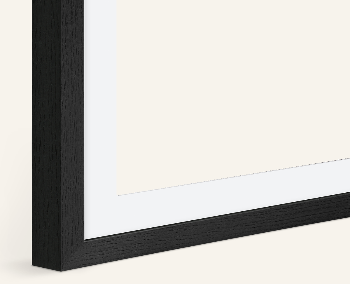 Frame: Pigment print on Photo Rag, framed in black oak