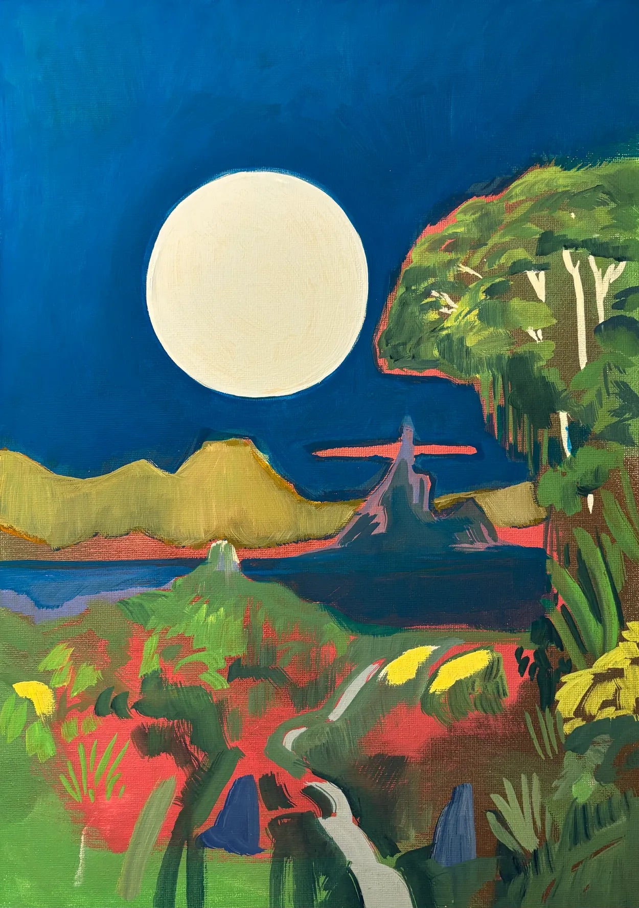 Full Moon by Coral Churchill