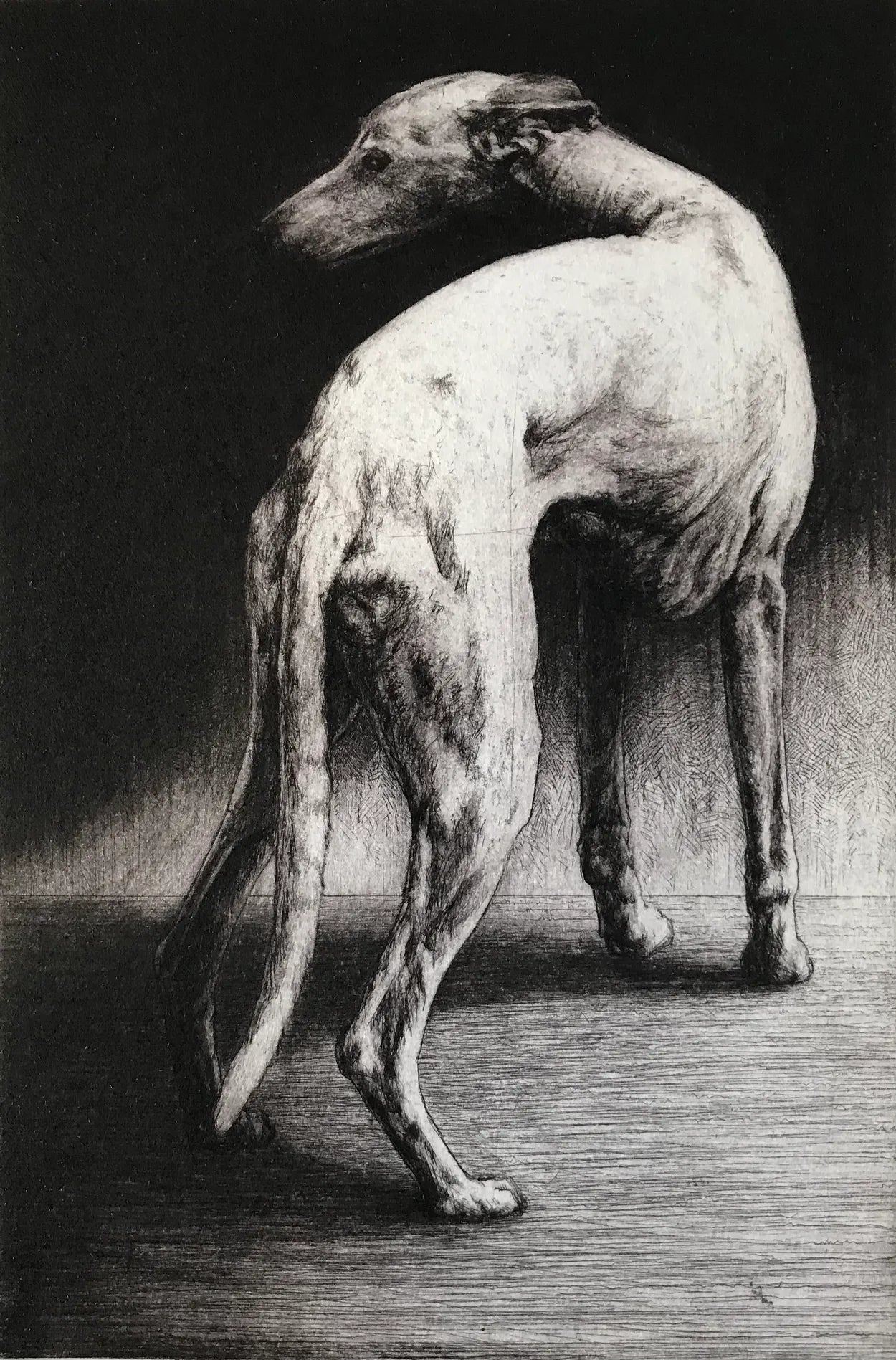 Grace by Helen Fay