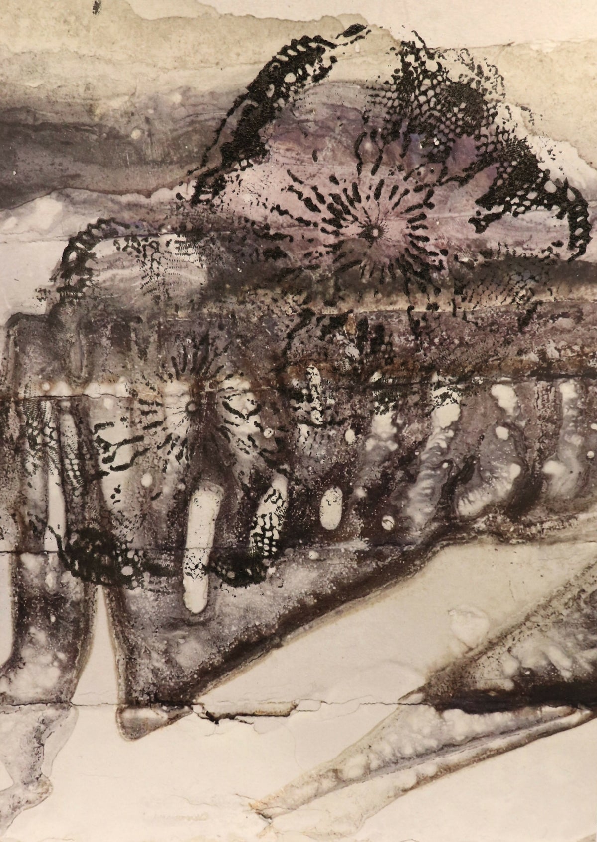 Underbelly exhibited