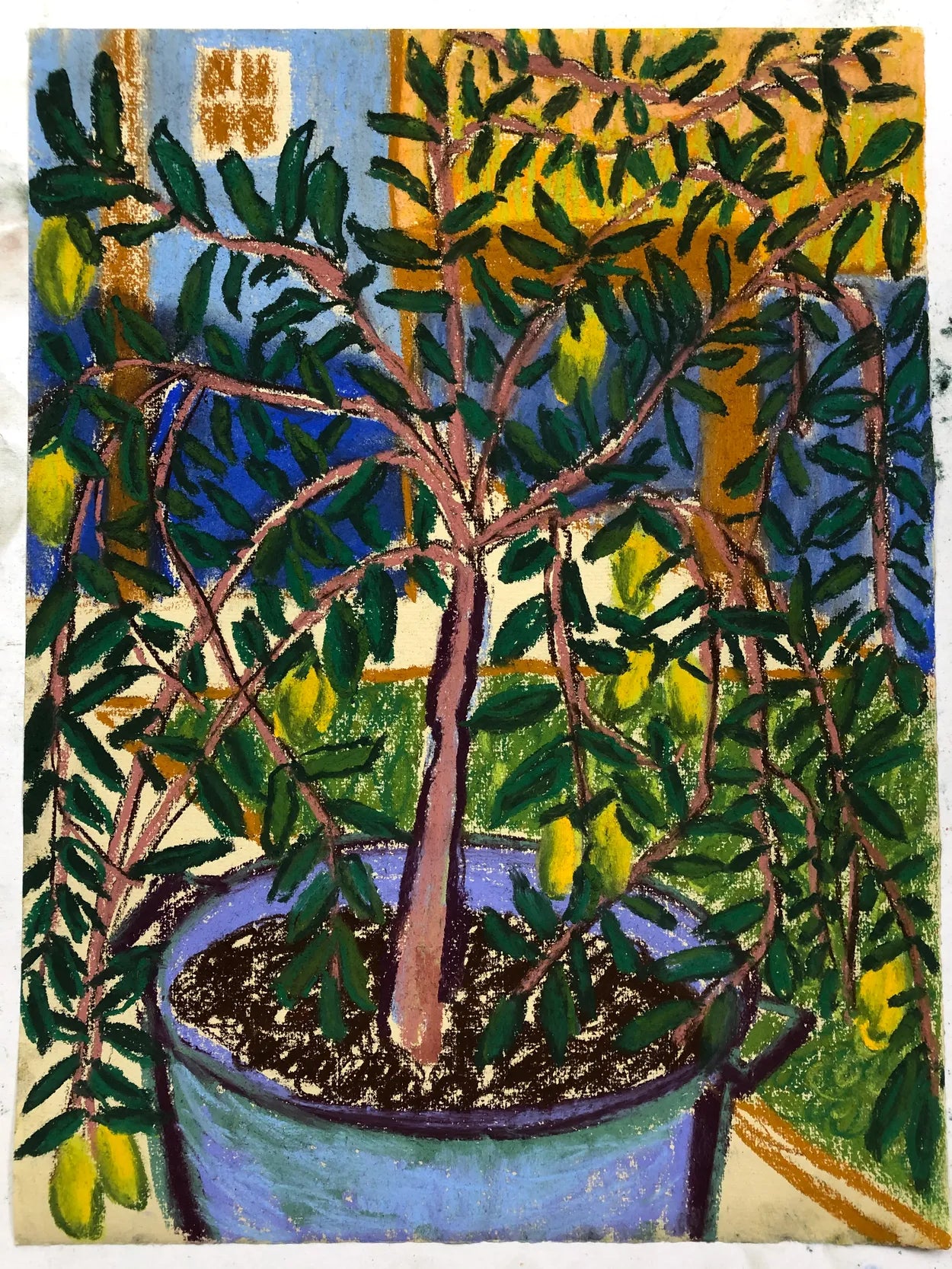 Lemon Tree Study I, La Reunion by Charlotte Johnston