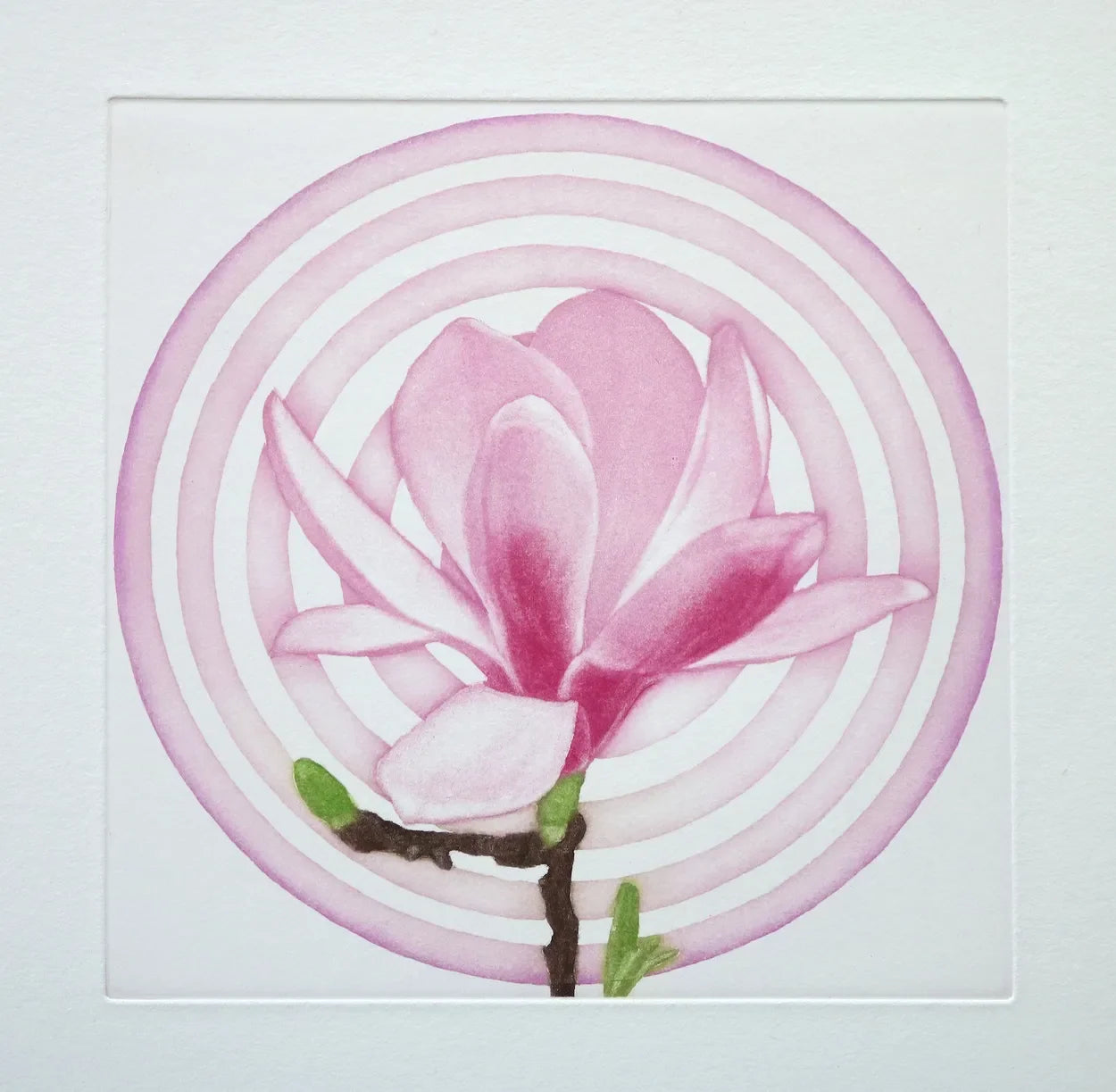 Magnolia Light 1 by Emiko Aida, original printmaking