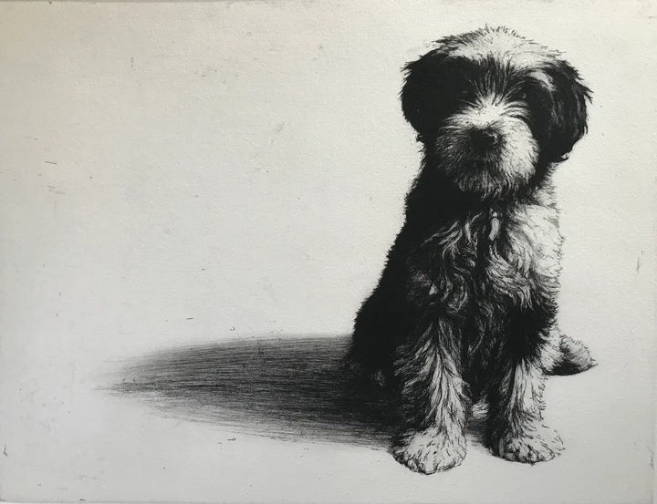 Magnus the Tibetan Terrier Puppy by Helen Fay