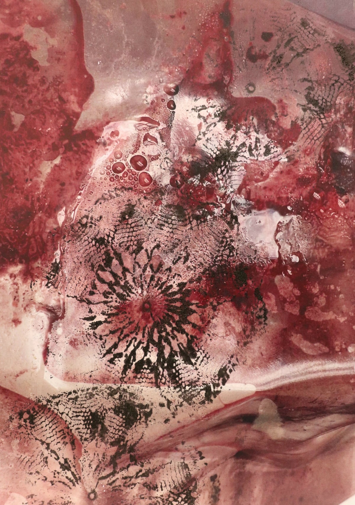 Underbelly overlaid