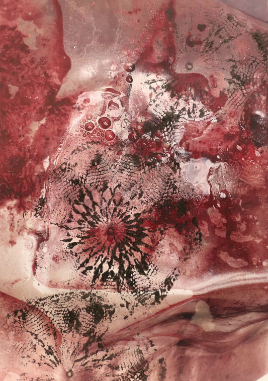 Underbelly overlaid by Mieke Shaw, original artwork