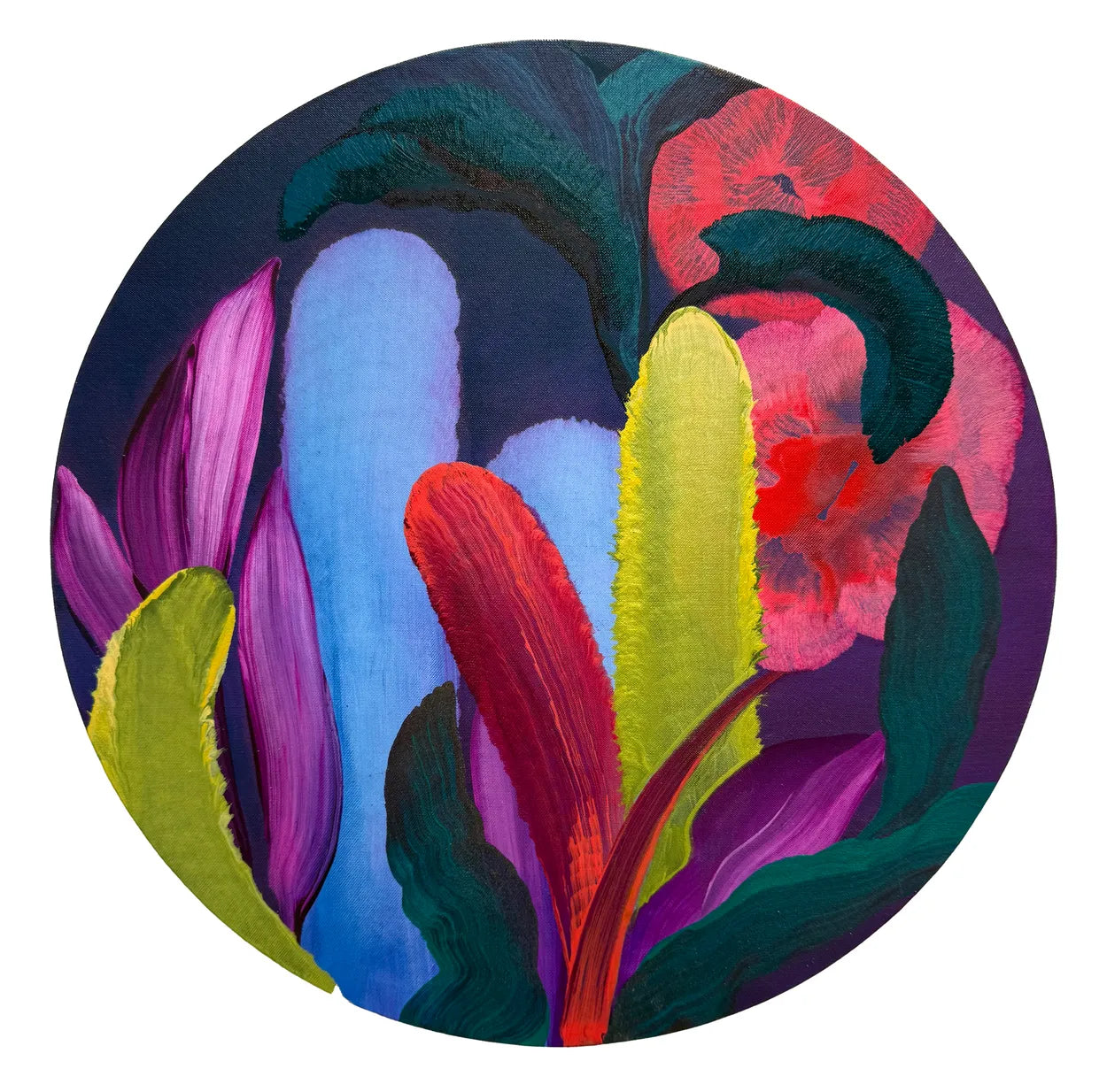 Nightshade by Orlanda Broom