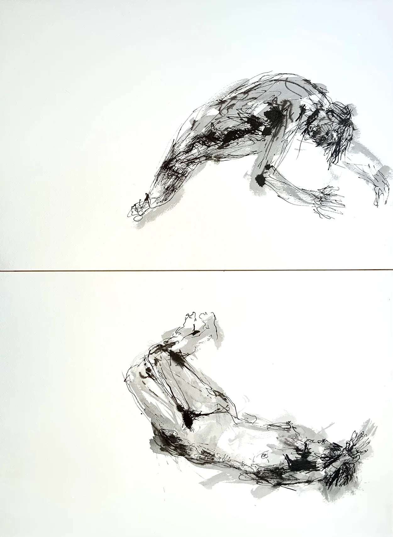 Opposites (2 Life Drawings) by Stephen Todd