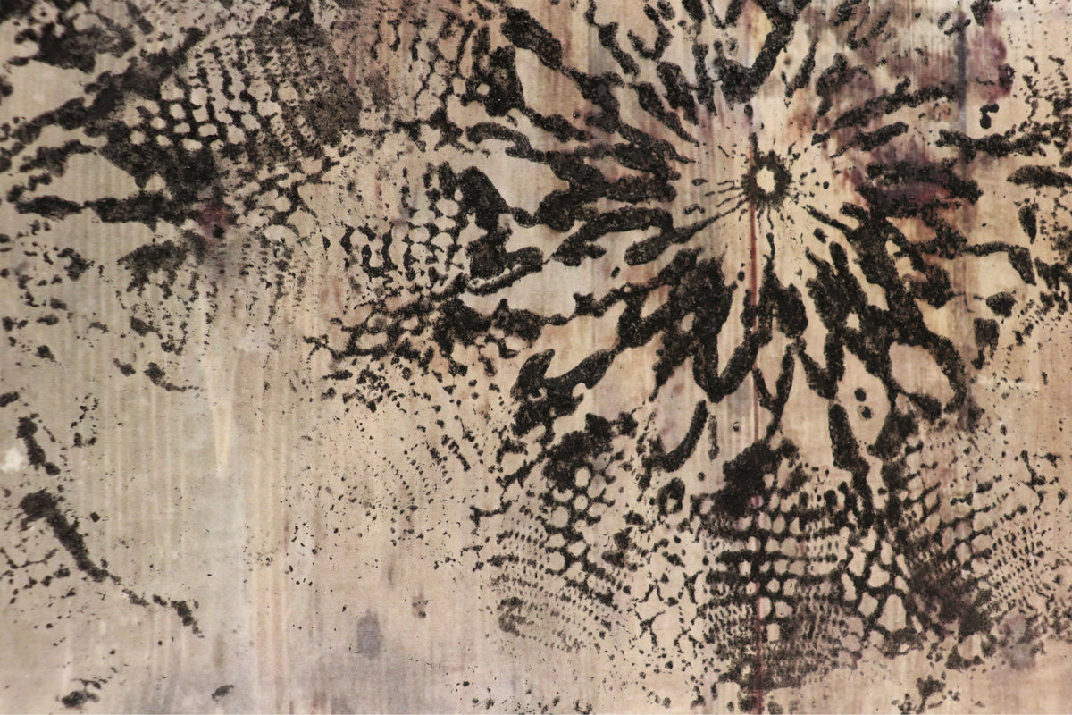 Underbelly exposed by Mieke Shaw, original artwork