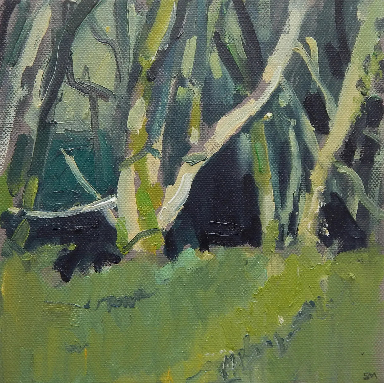 Roadside Trees by Seth Marshall