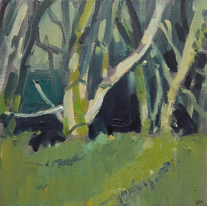 Roadside Trees by Seth Marshall
