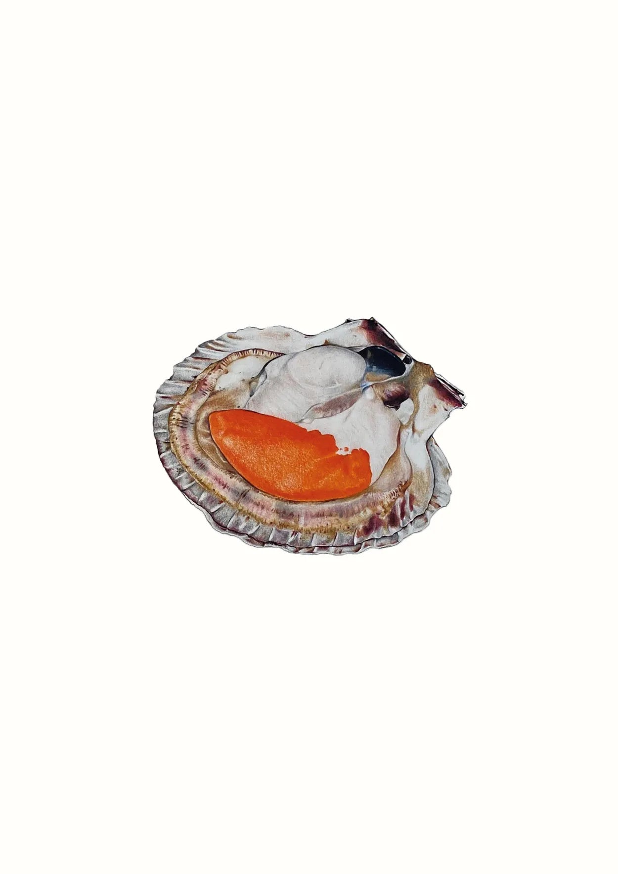Scallop in Shell by Theresa Reilly-Cooper