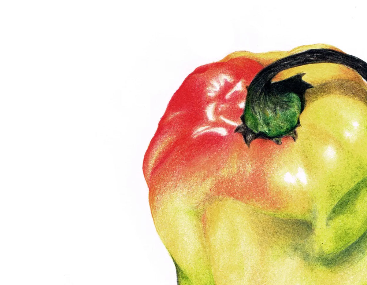 Scotch Bonnet by Theresa Reilly-Cooper