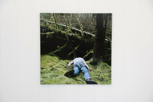 Collapse by Ed Puddington, original artwork