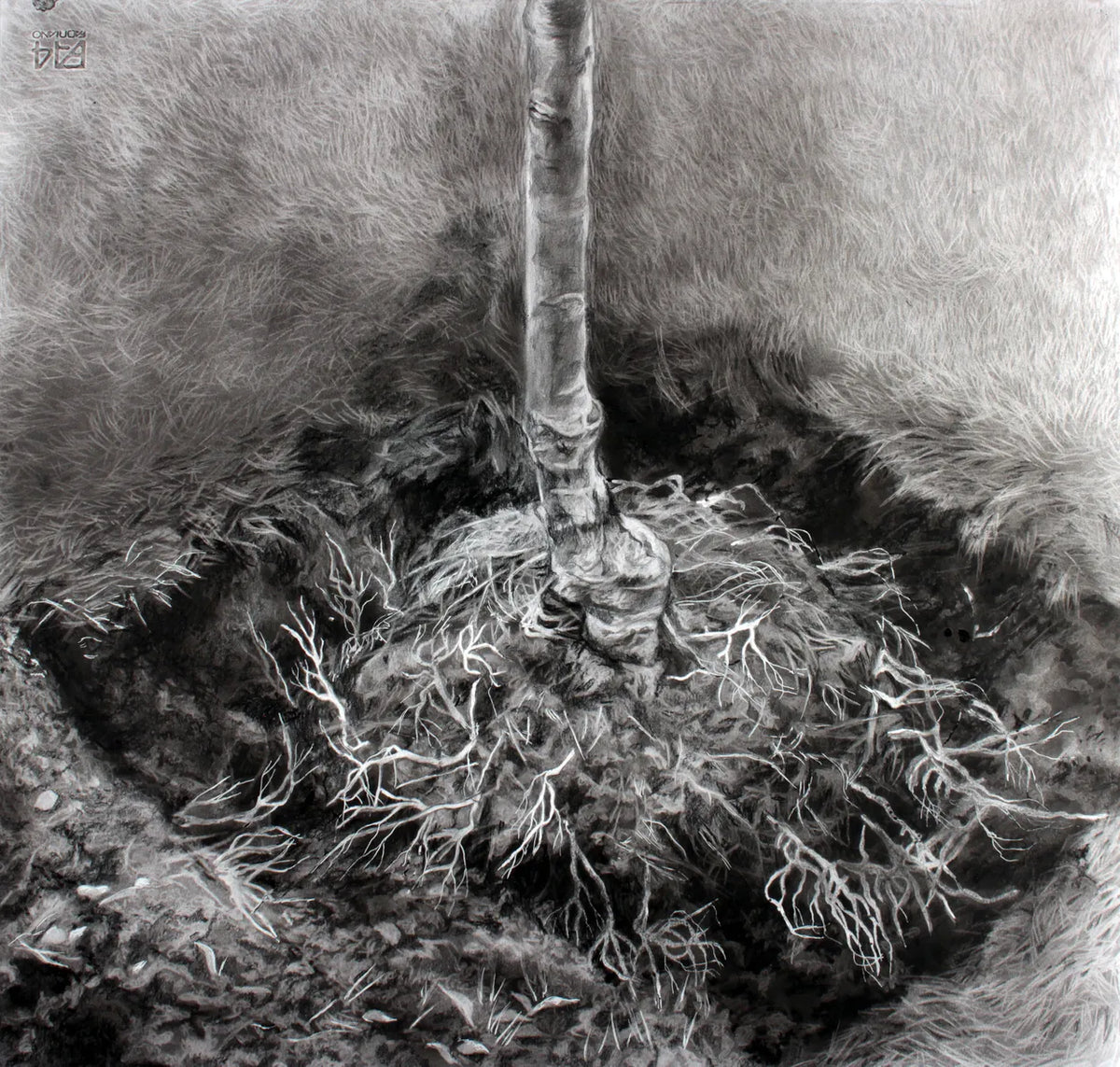 Shadow Settled On the Place That I Left by Zuzanna Salamon