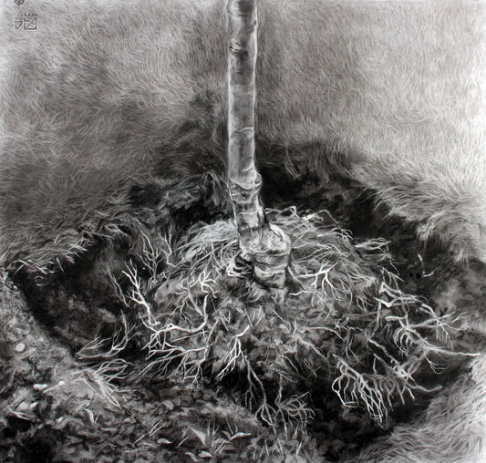 Shadow Settled On the Place That I Left by Zuzanna Salamon