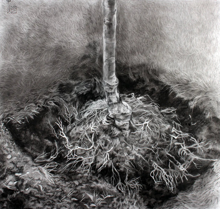 Shadow Settled On the Place That I Left by Zuzanna Salamon