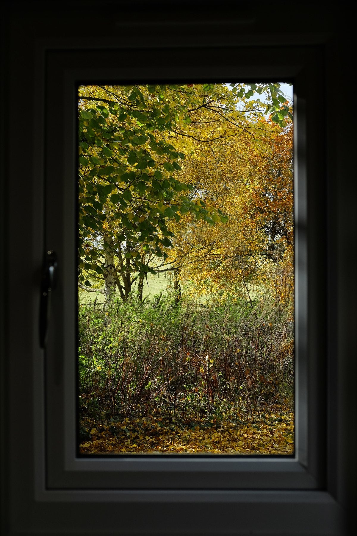 Autumn ’24 by Sian Egan