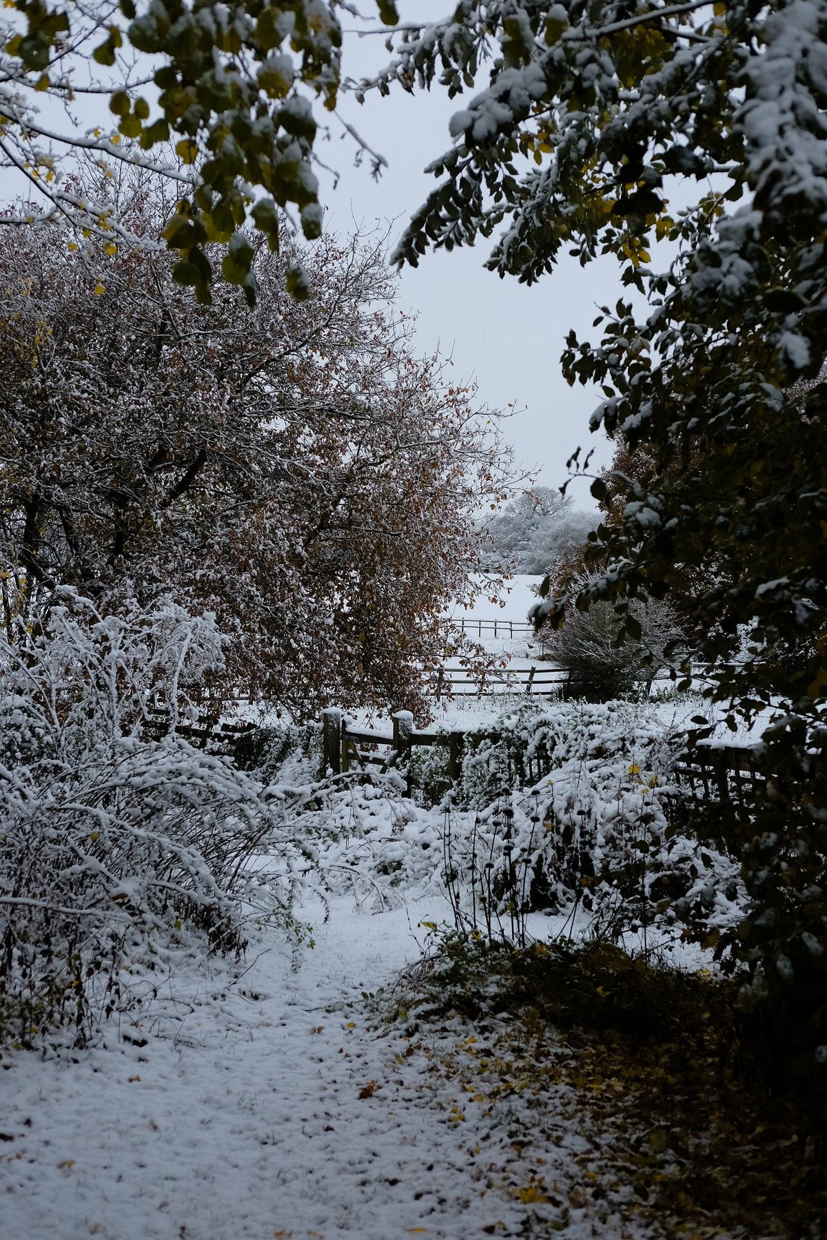 Autumn ’24 by Sian Egan