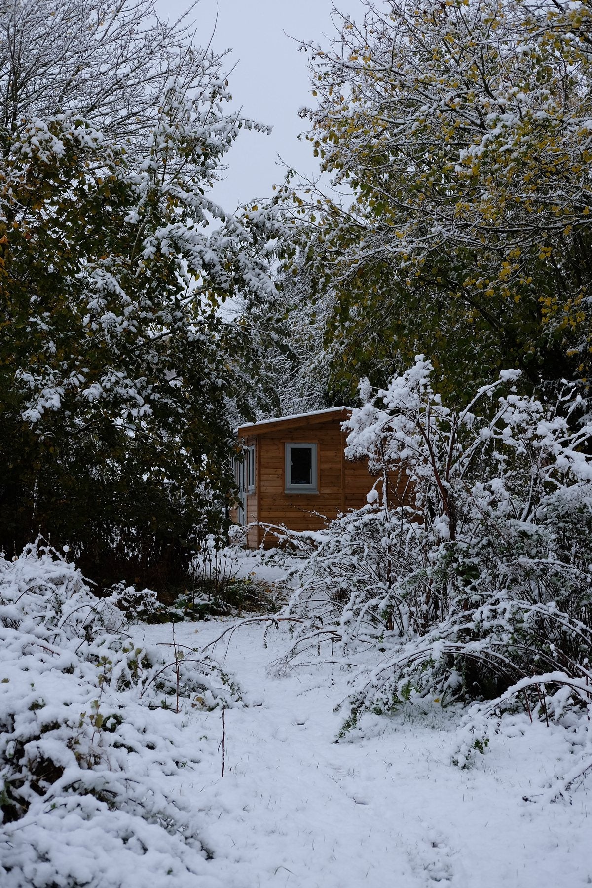 Autumn ’24 by Sian Egan