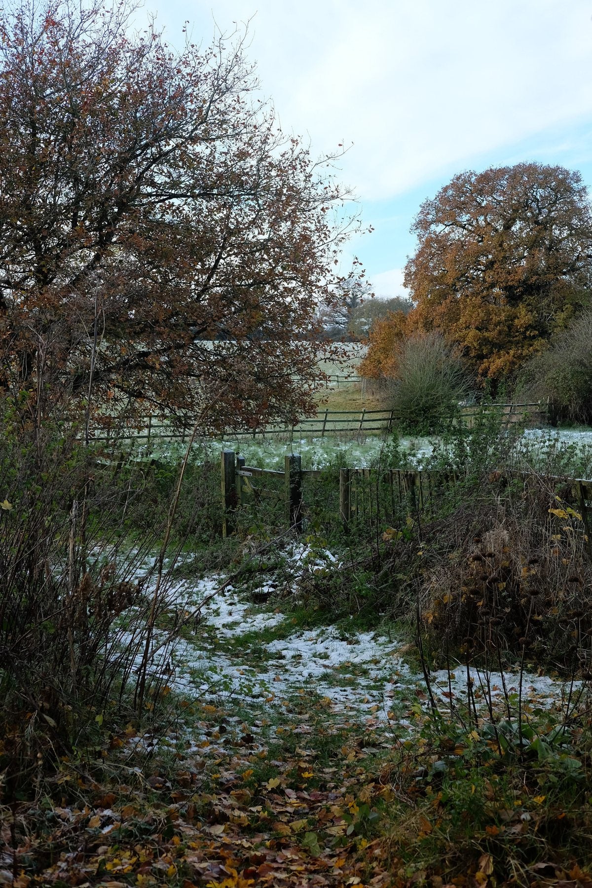 Autumn ’24 by Sian Egan