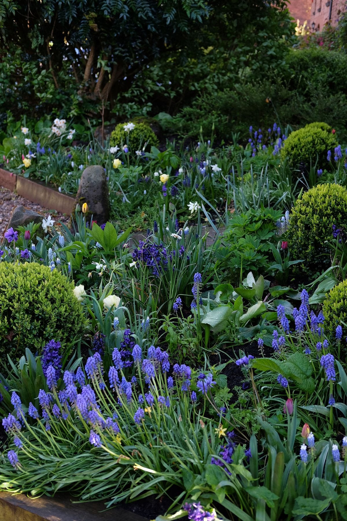 Spring ’24 by Sian Egan