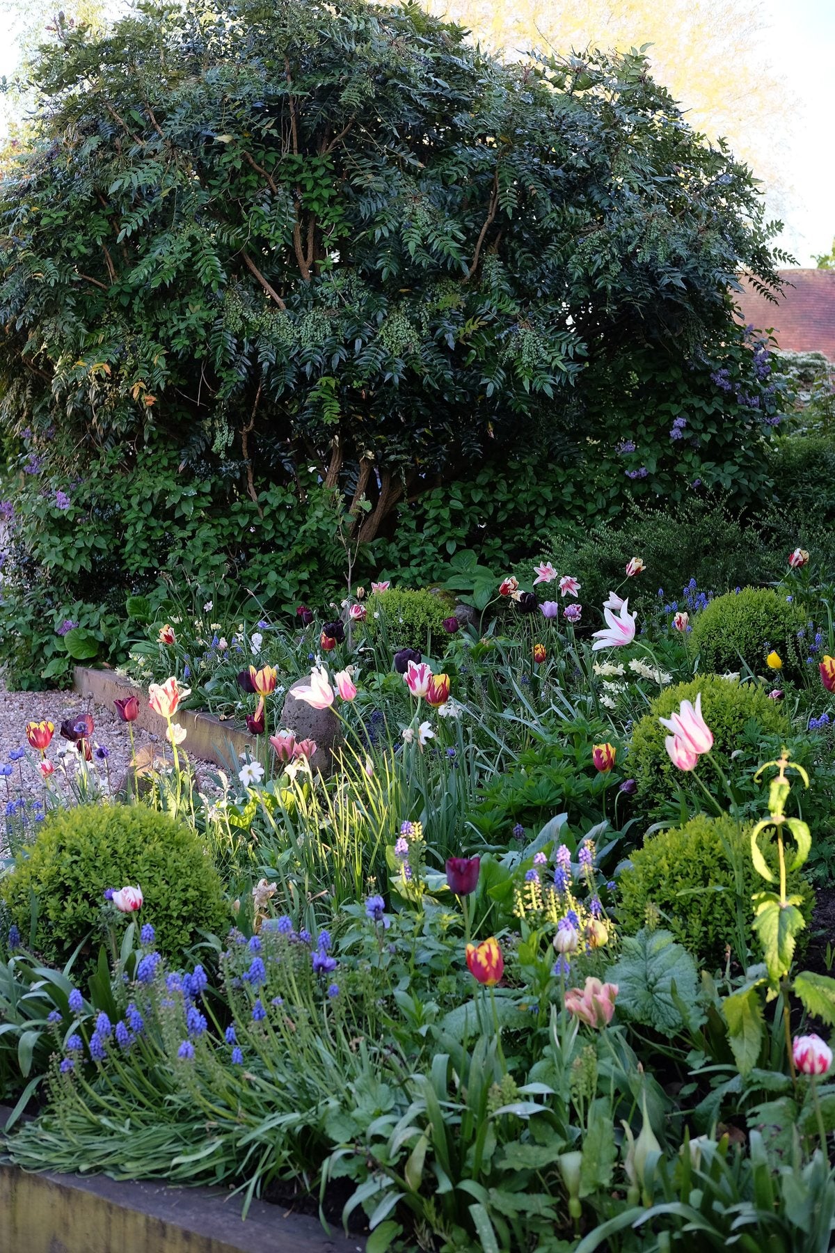 Spring ’24 by Sian Egan