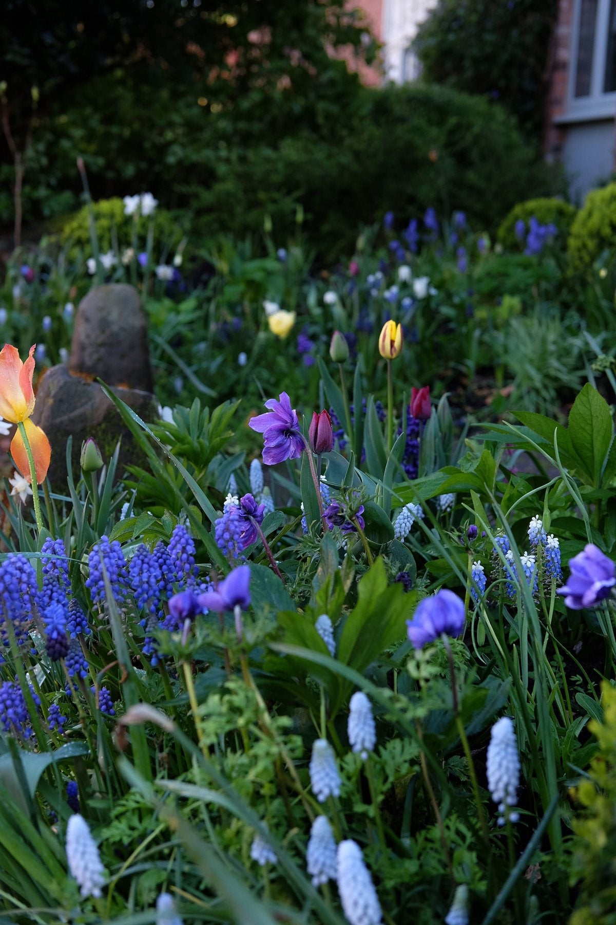 Spring ’24 by Sian Egan