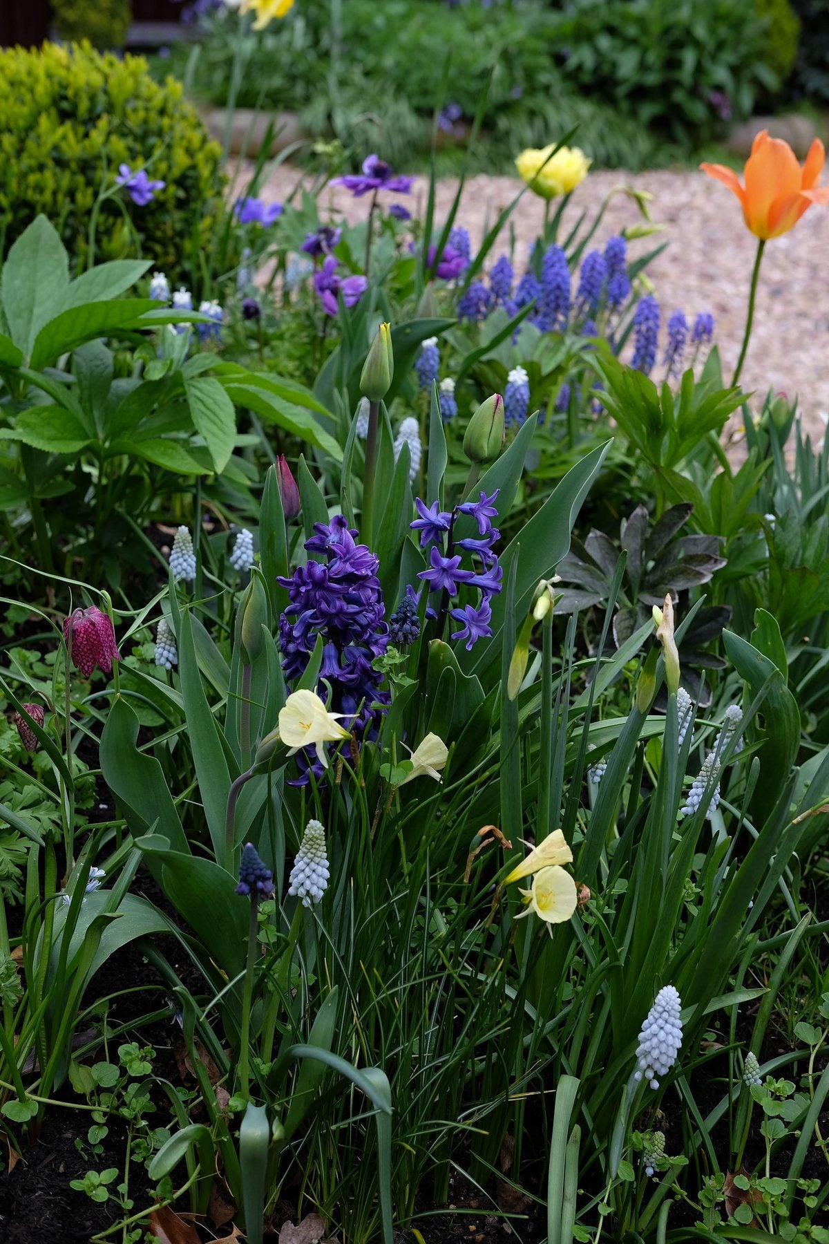 Spring ’24 by Sian Egan