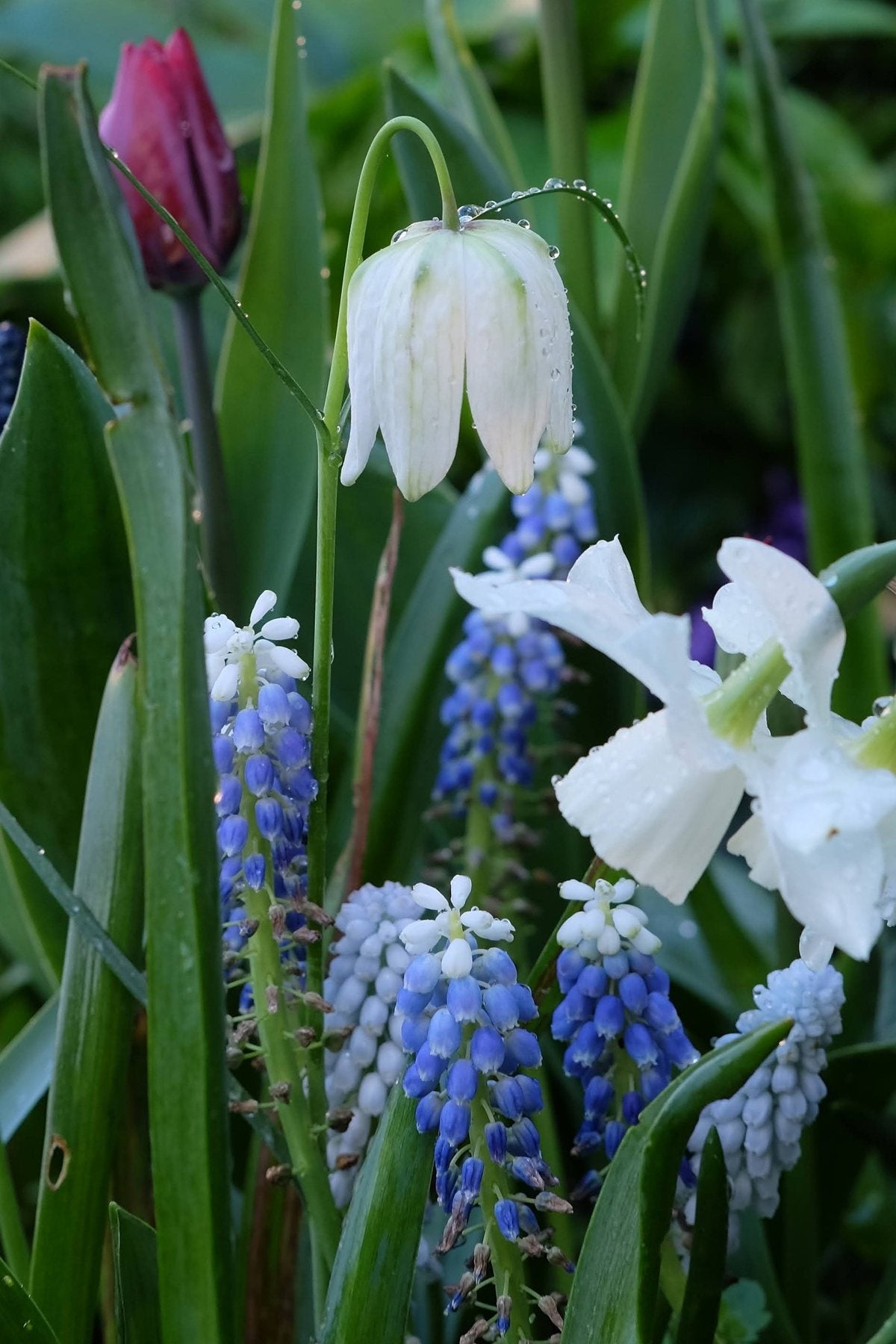 Spring ’24 by Sian Egan