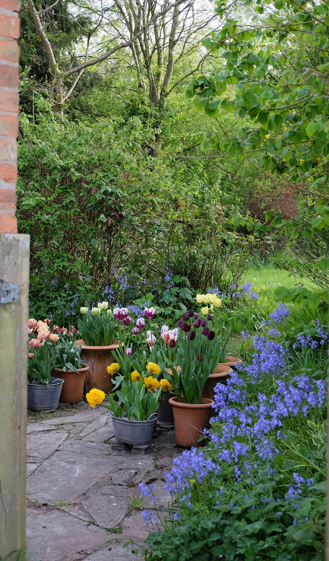 Spring ’24 by Sian Egan