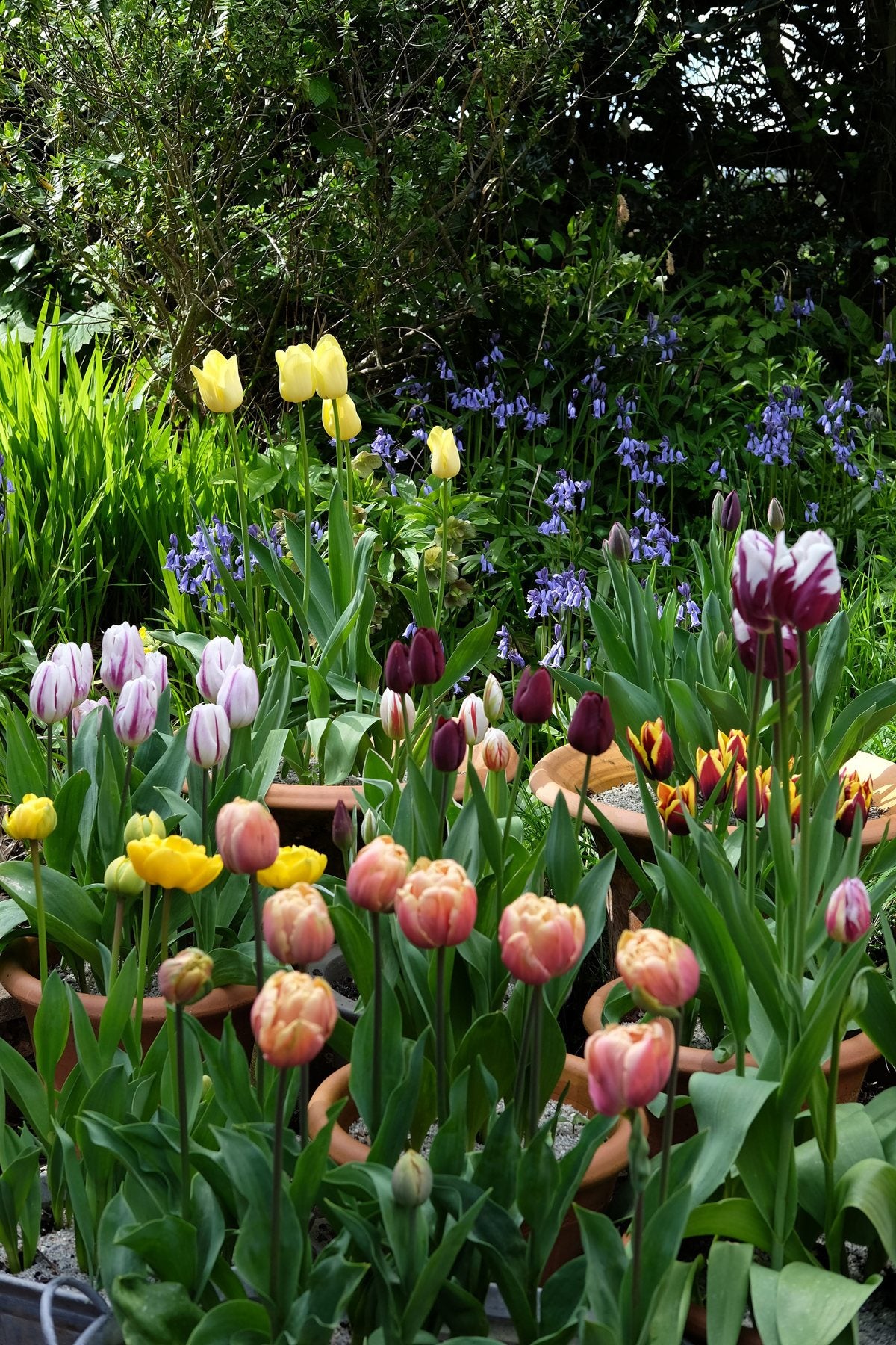 Spring ’24 by Sian Egan