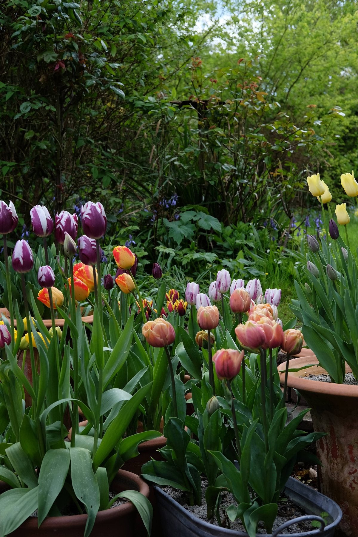 Spring ’24 by Sian Egan