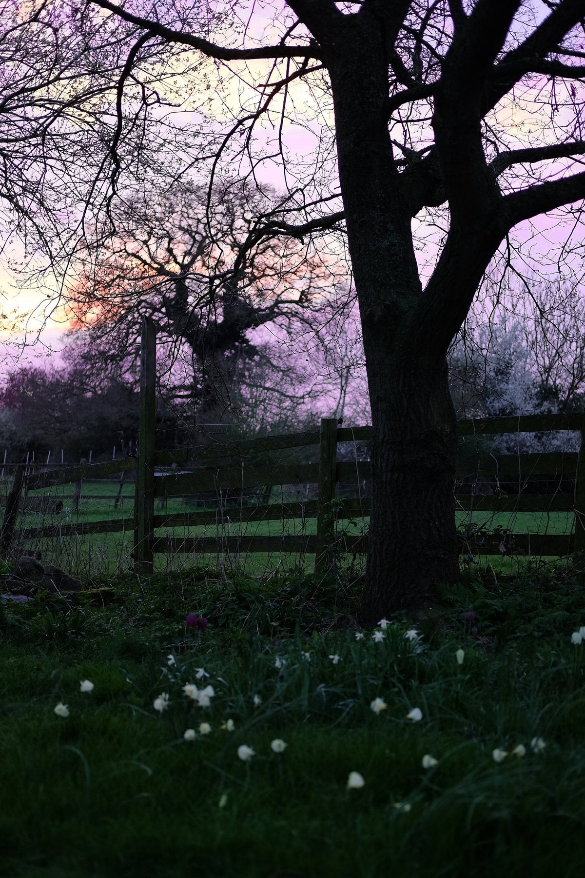 Spring ’24 by Sian Egan