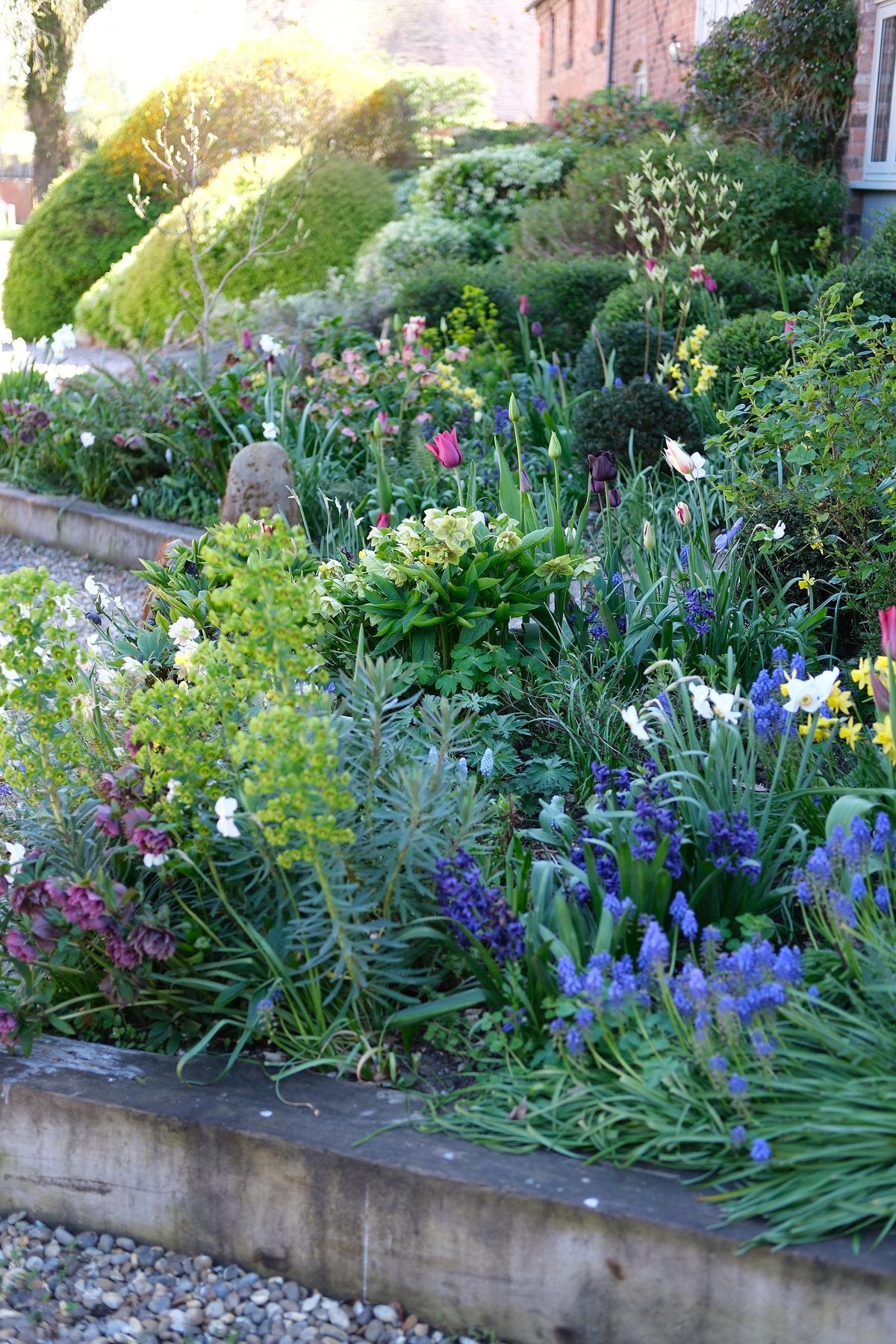 The Front Borders in Spring ’26 by Sian Egan
