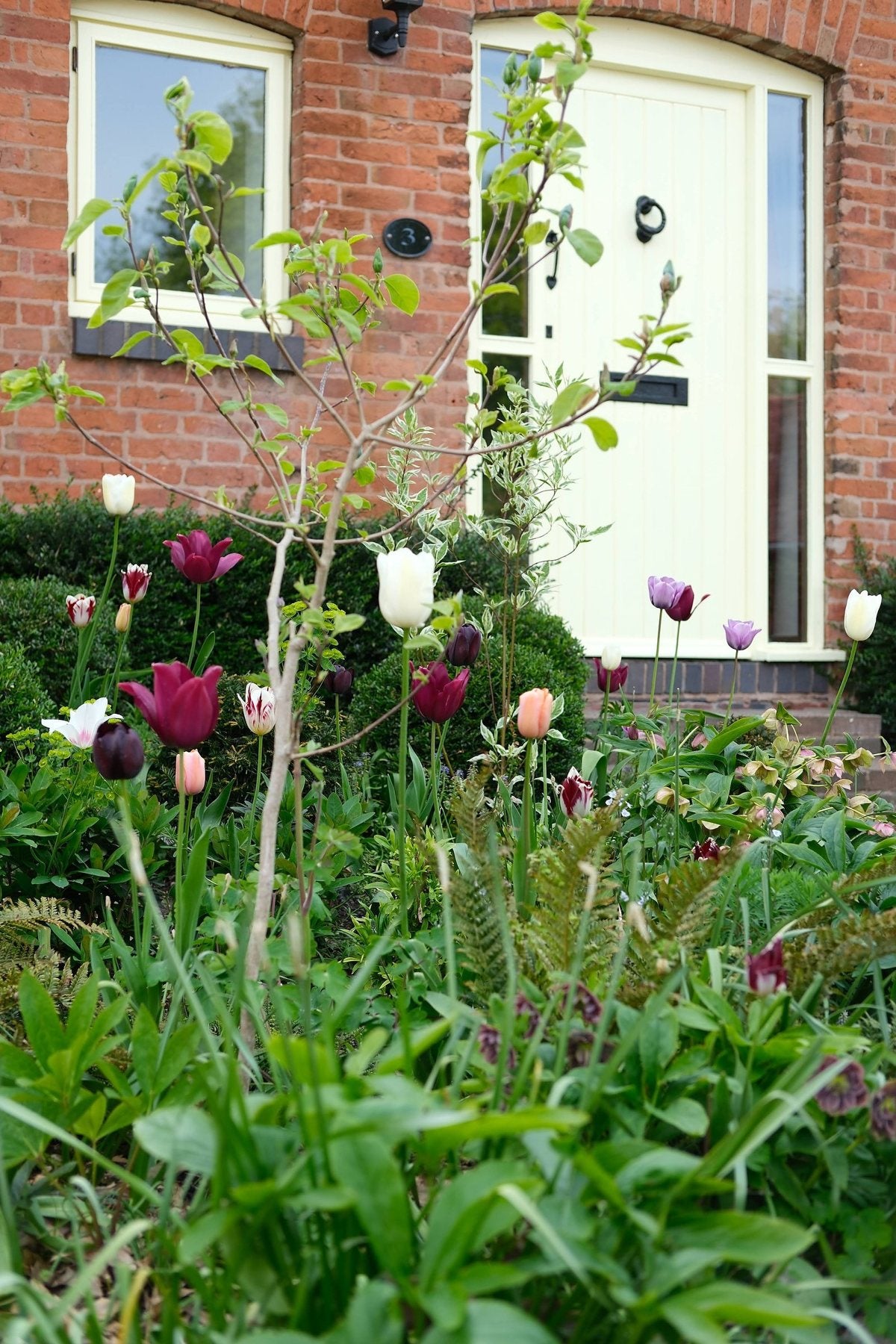 The Front Borders in Spring ’26 by Sian Egan