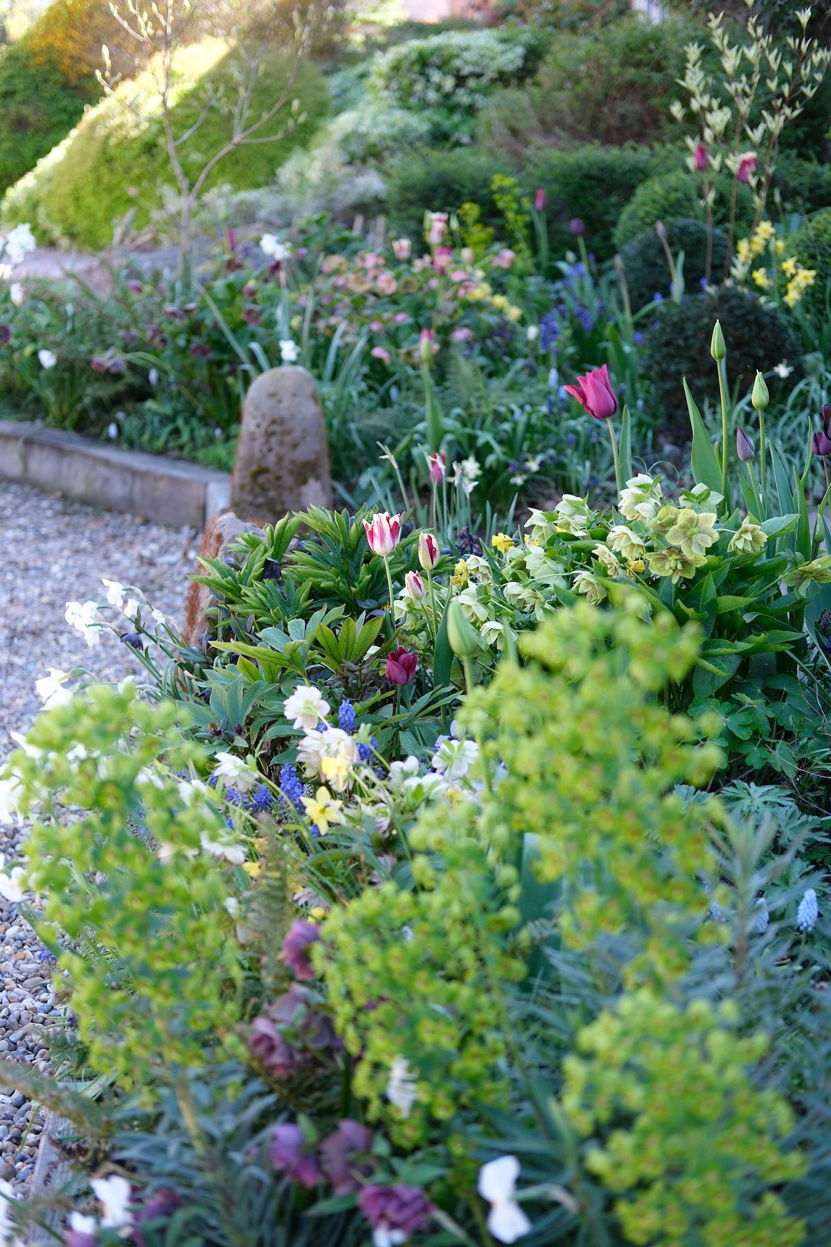 The Front Borders in Spring ’26 by Sian Egan