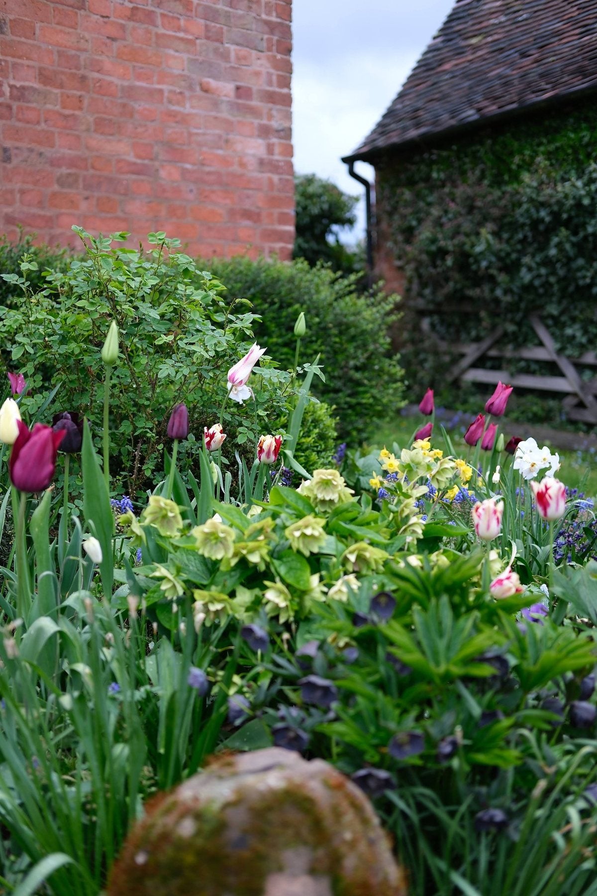 The Front Borders in Spring ’26 by Sian Egan