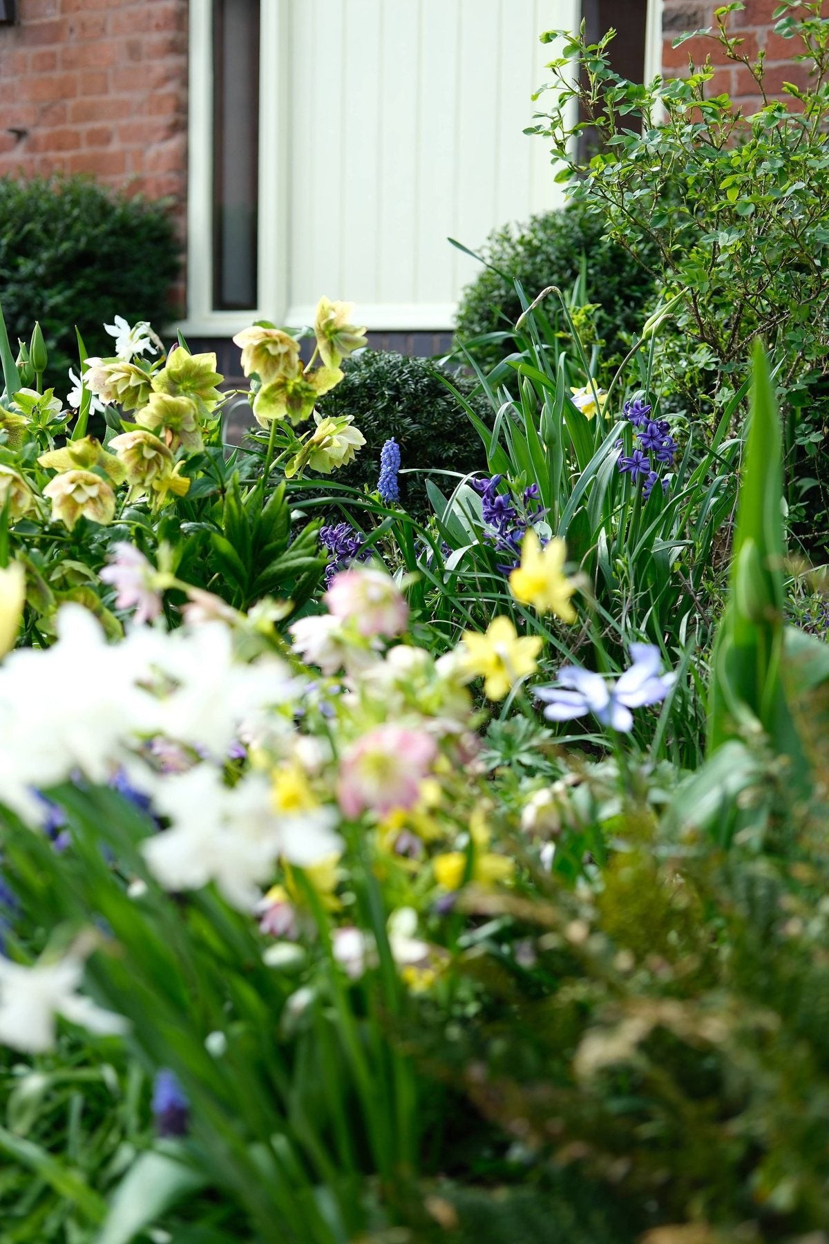 The Front Borders in Spring ’26 by Sian Egan