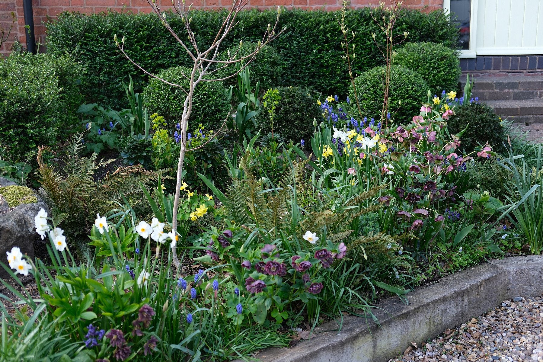 The Front Borders in Spring ’26 by Sian Egan