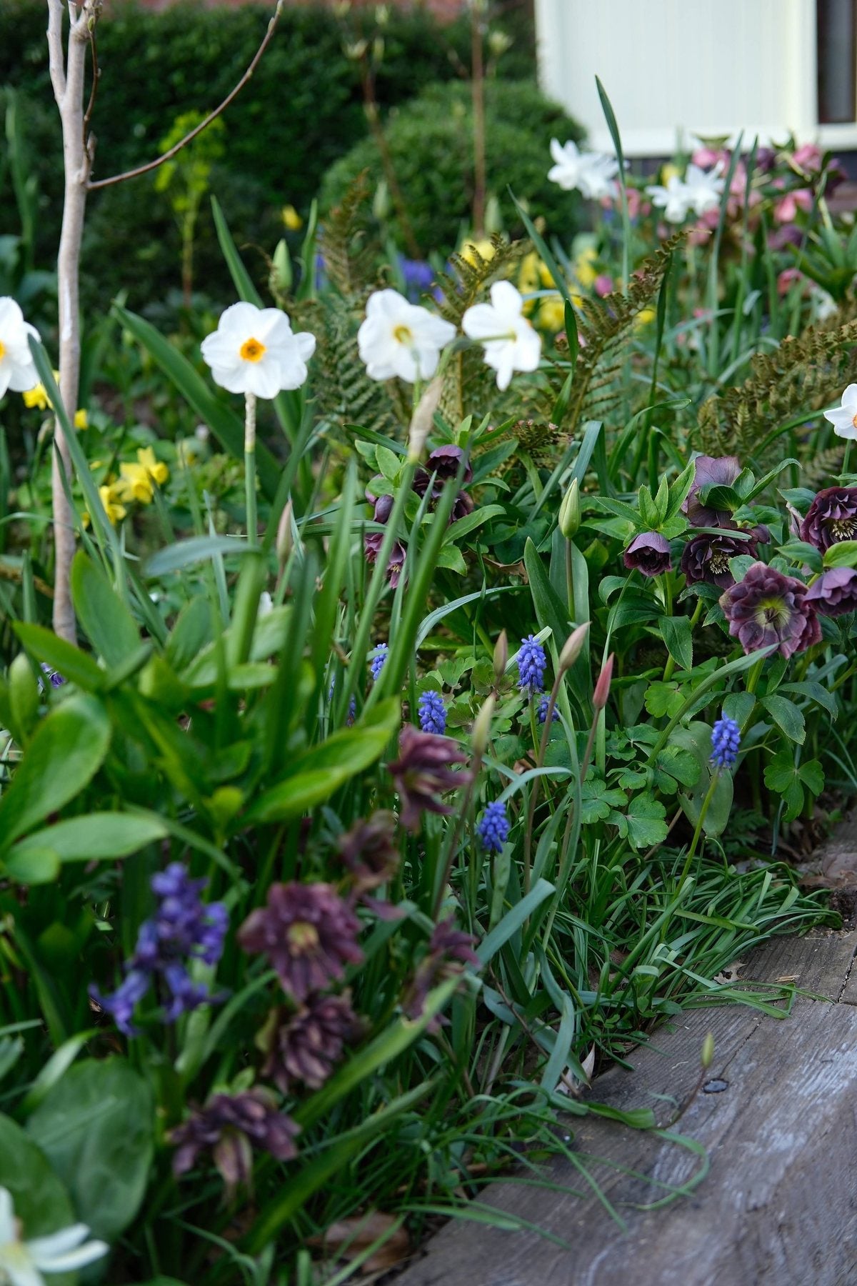 The Front Borders in Spring ’26 by Sian Egan