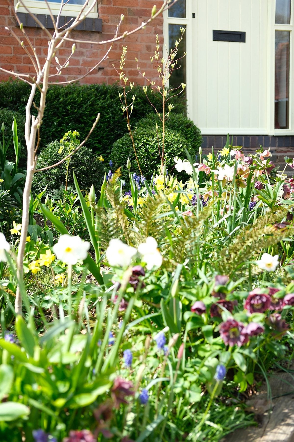 The Front Borders in Spring ’26 by Sian Egan