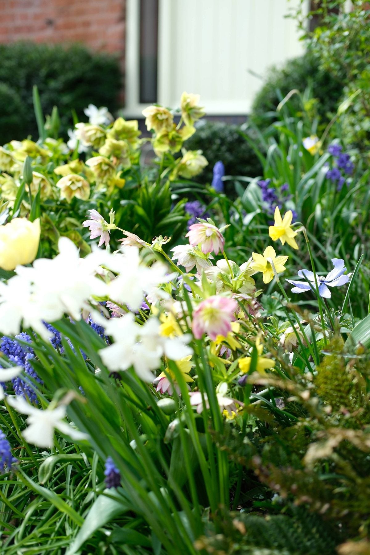 The Front Borders in Spring ’26 by Sian Egan