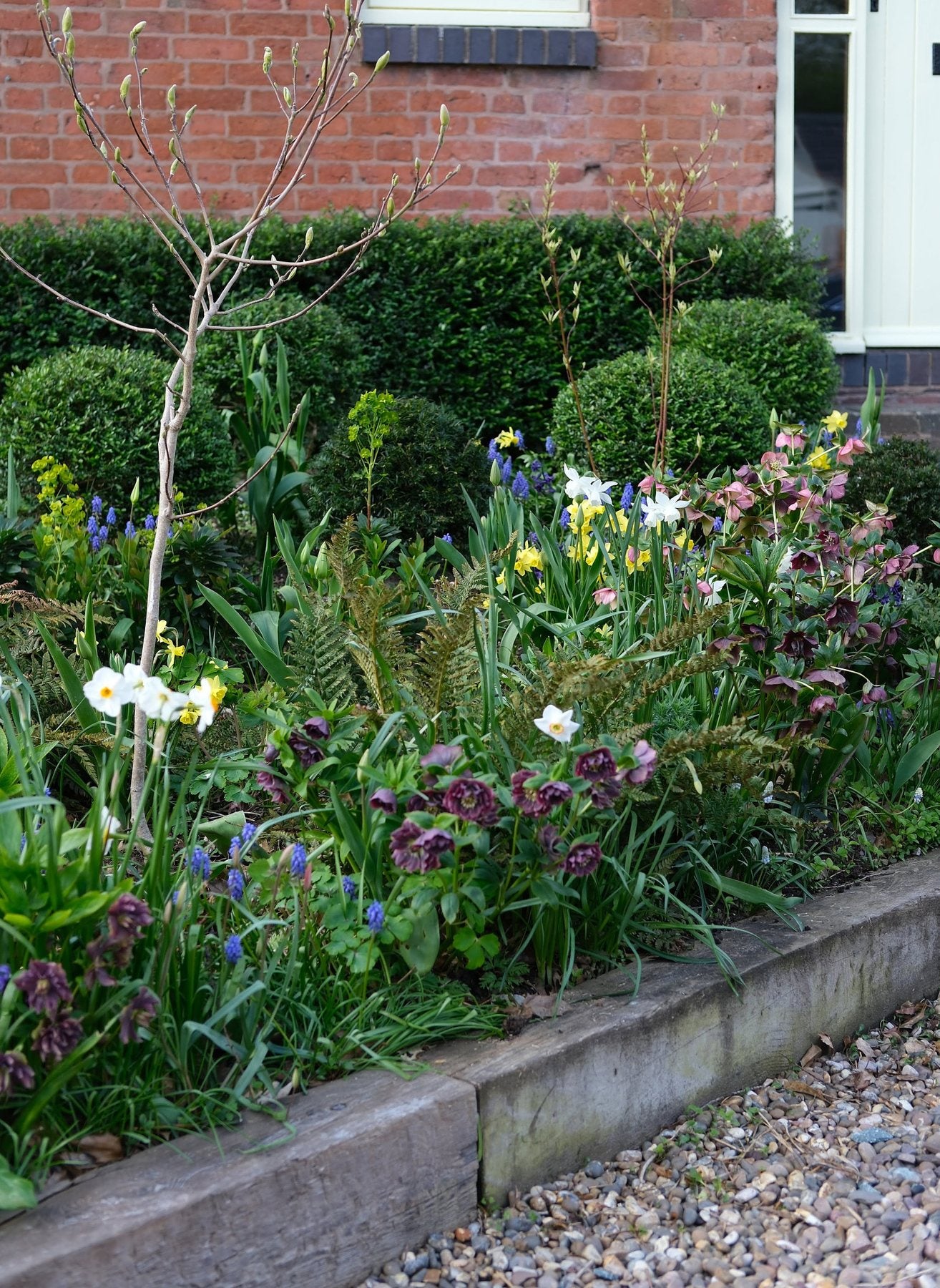The Front Borders in Spring ’26 by Sian Egan