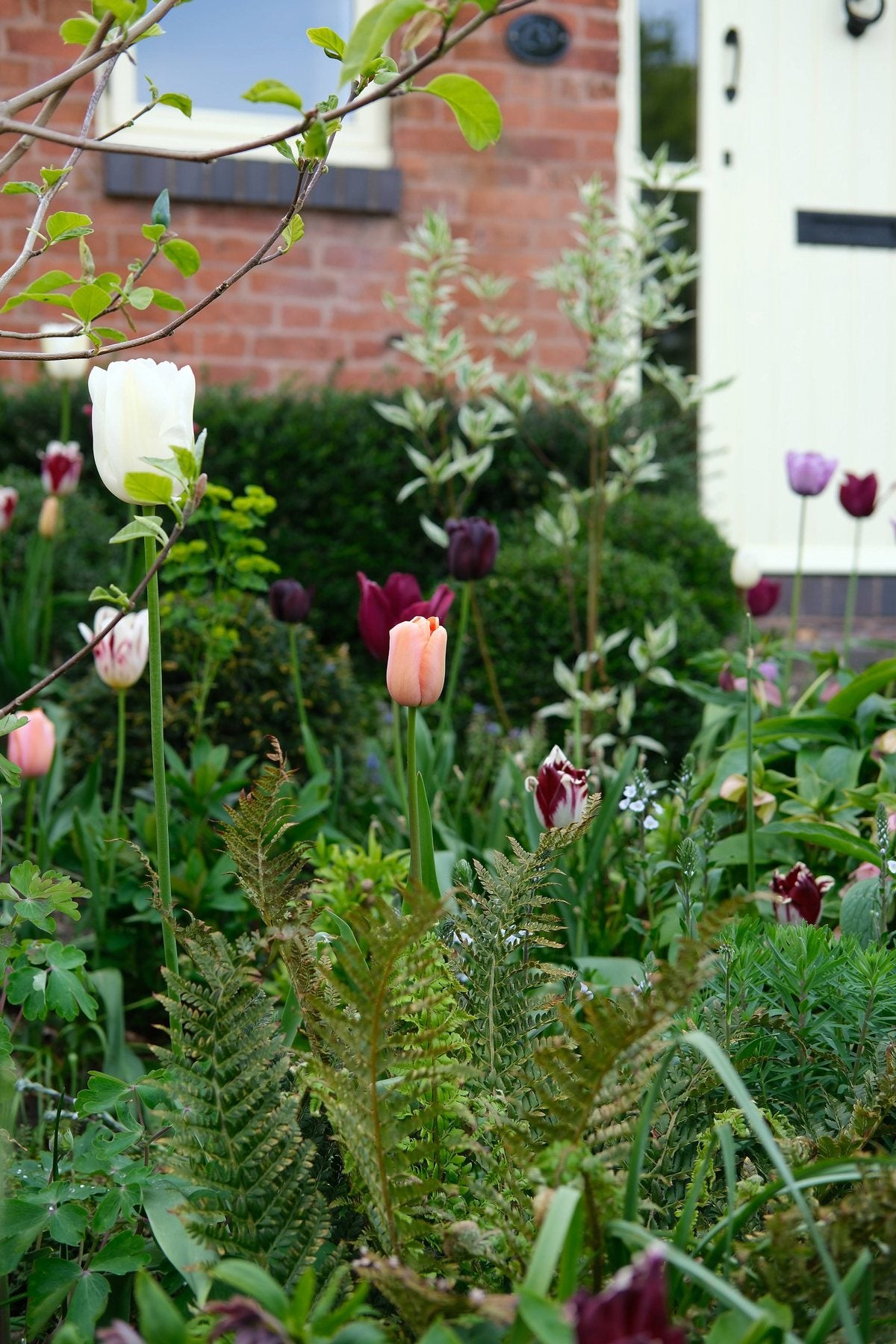 The Front Borders in Spring ’26 by Sian Egan