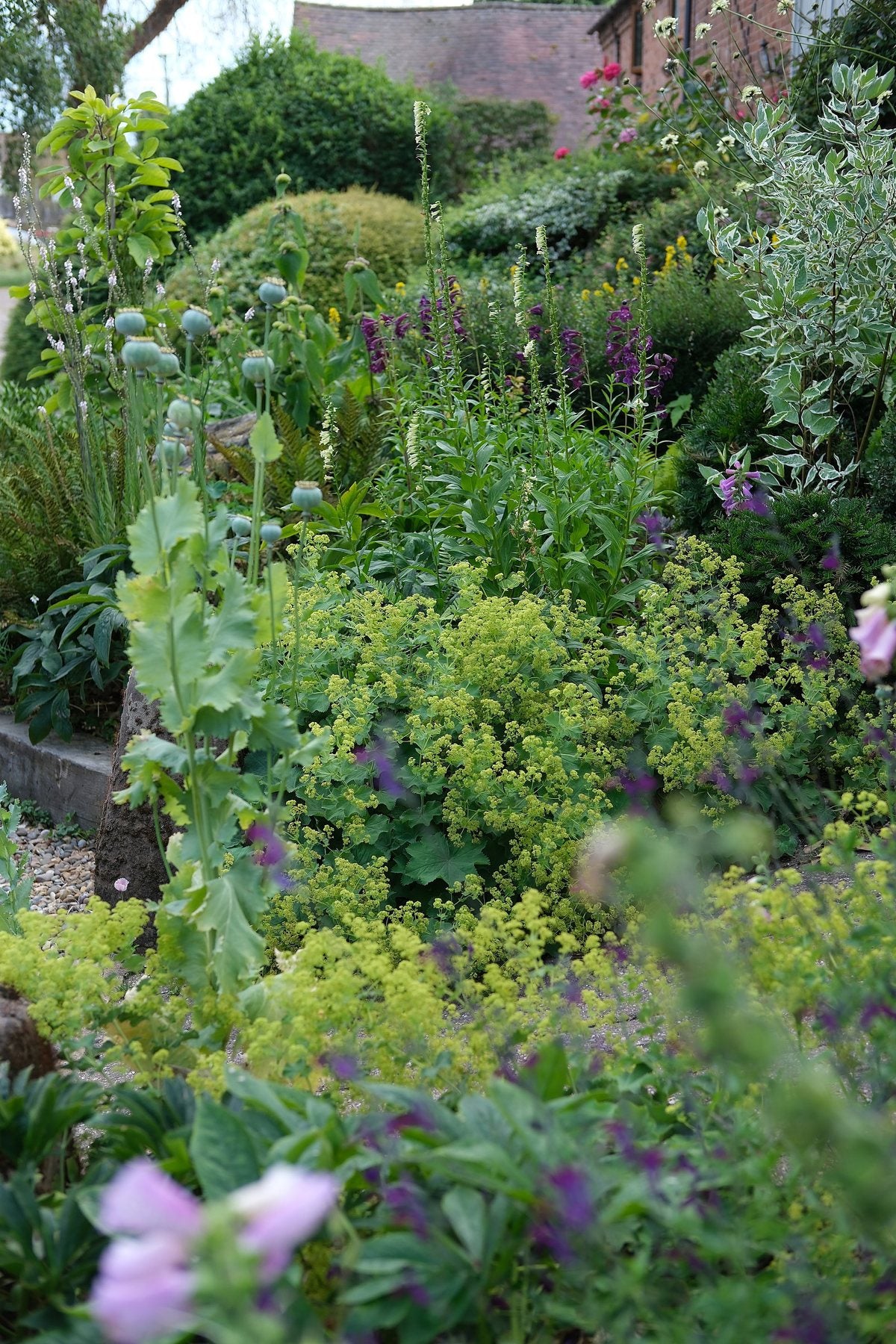 The Front Borders in Summer ’26 by Sian Egan