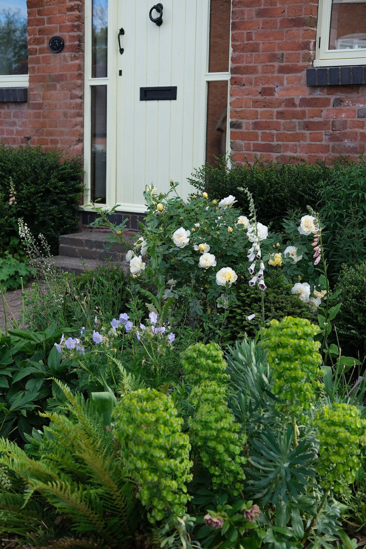 The Front Borders in Summer ’26 by Sian Egan