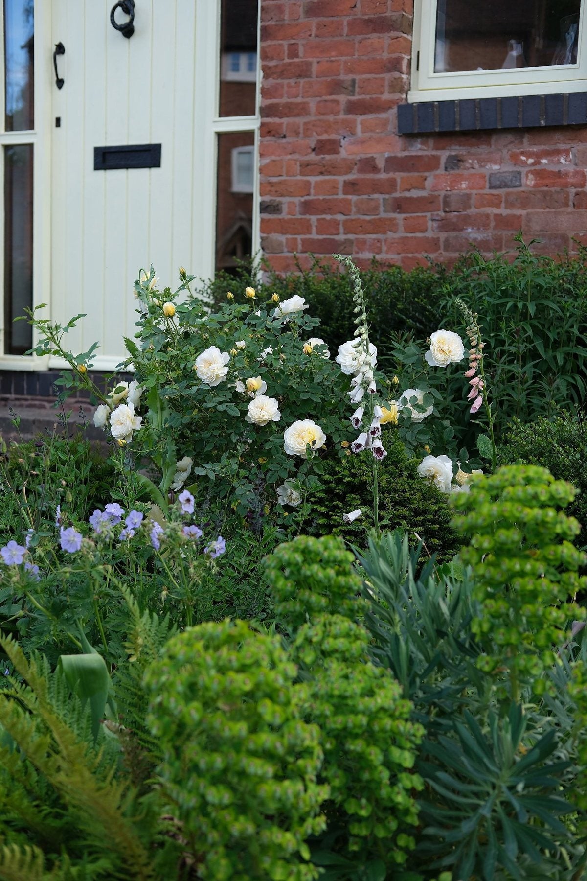 The Front Borders in Summer ’26 by Sian Egan