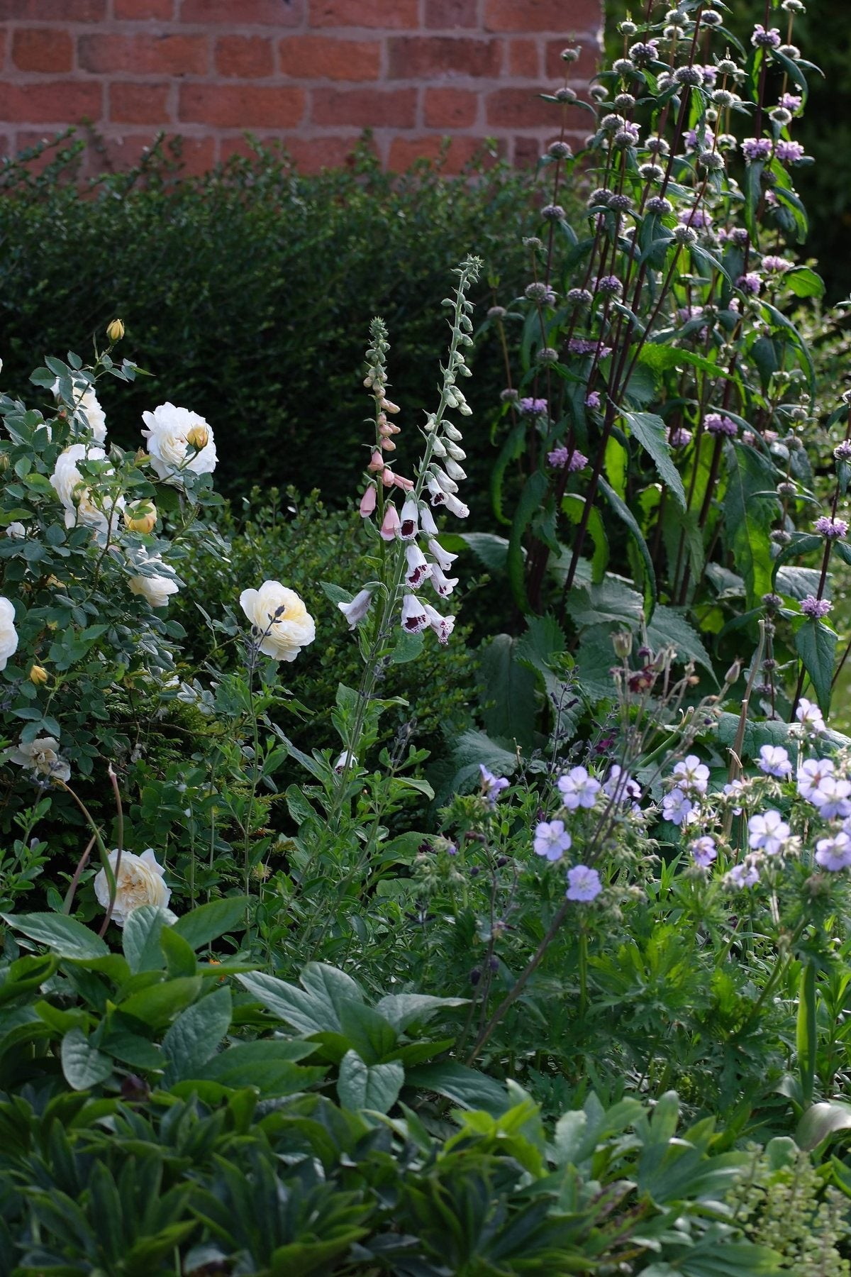 The Front Borders in Summer ’26 by Sian Egan