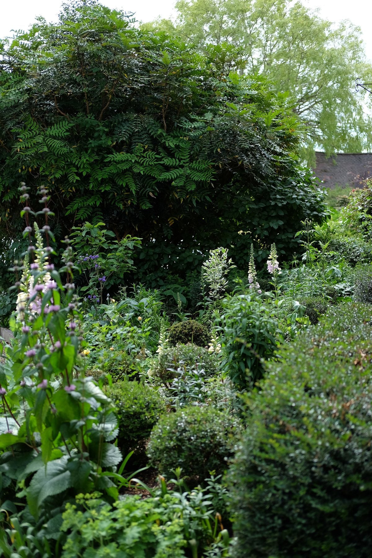 The Front Borders in Summer ’25 by Sian Egan